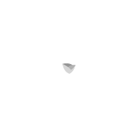 rosa (1)